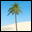 Island Wars 2 icon